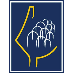 MDLF — Municipal Development and Lending Fund